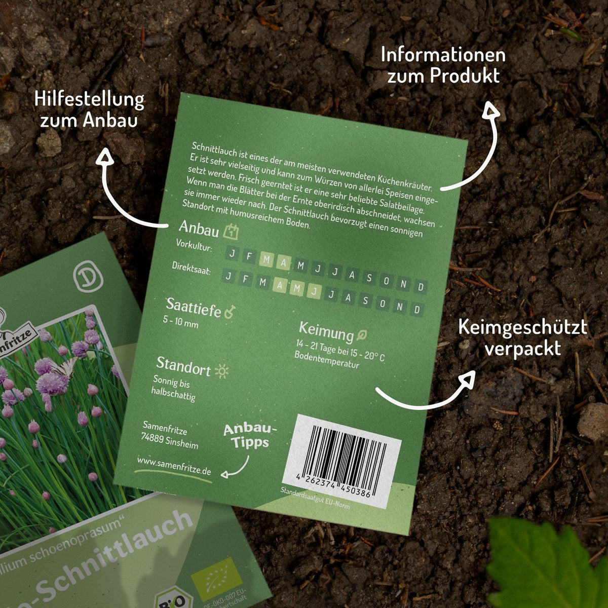 Bio-Schnittlauch Samen