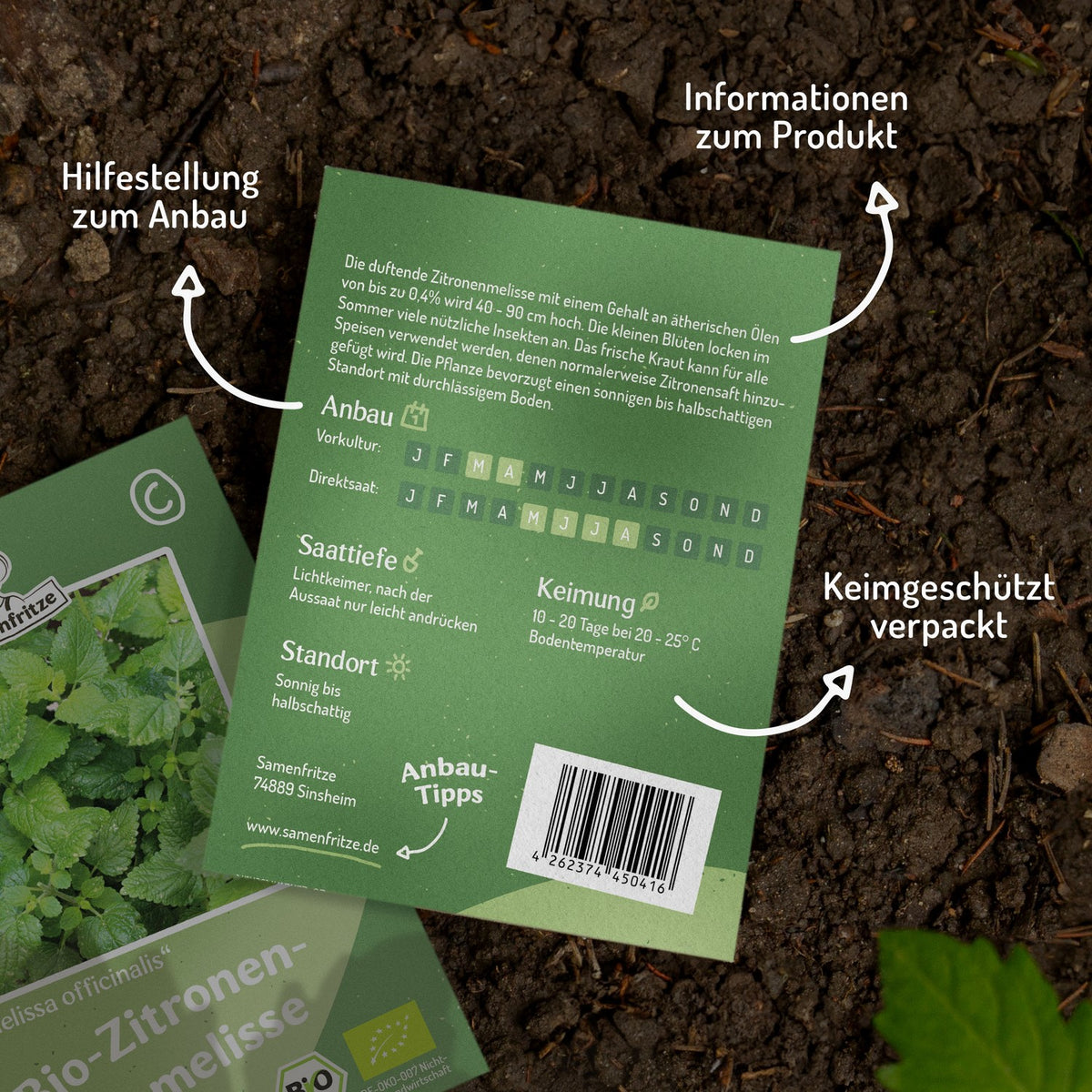 Bio-Zitronenmelisse Samen, Melissa officinalis
