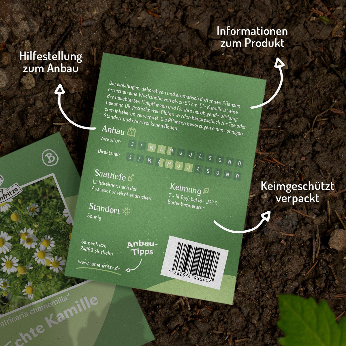 Echte Kamille Samen, Matricaria recutita