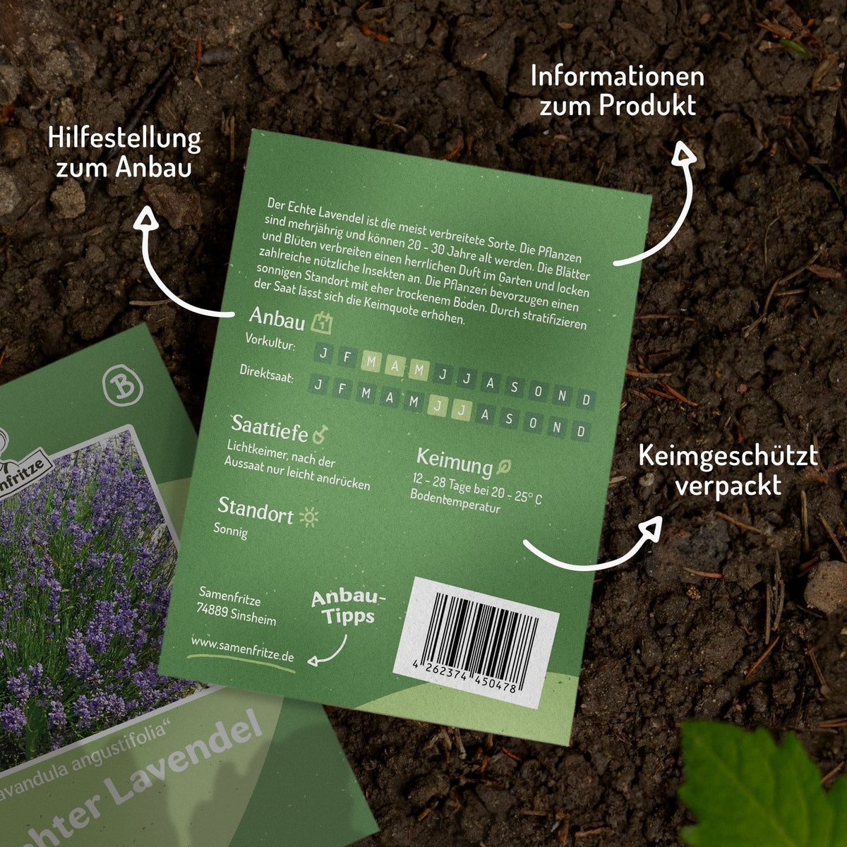 MHD 06/26 Echter Lavendel Samen