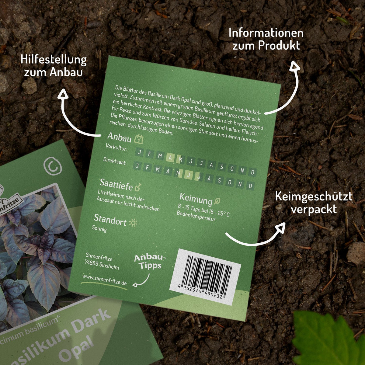 Basilikum Dark Opal Samen