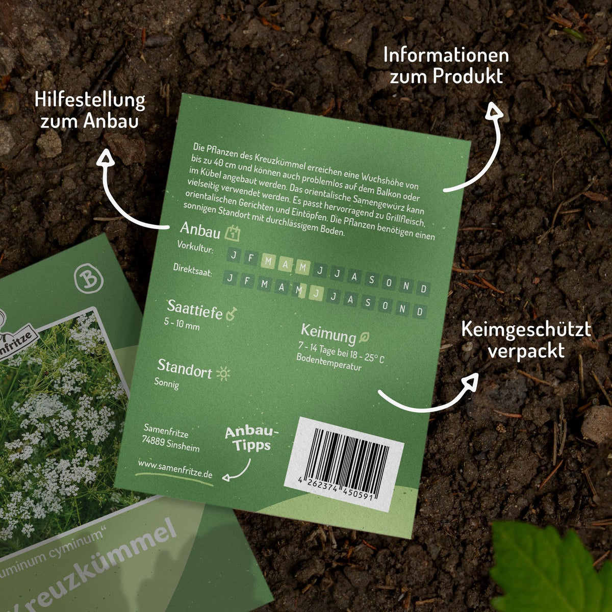 Kreuzkümmel Samen, Cuminum cyminum – samenfritze