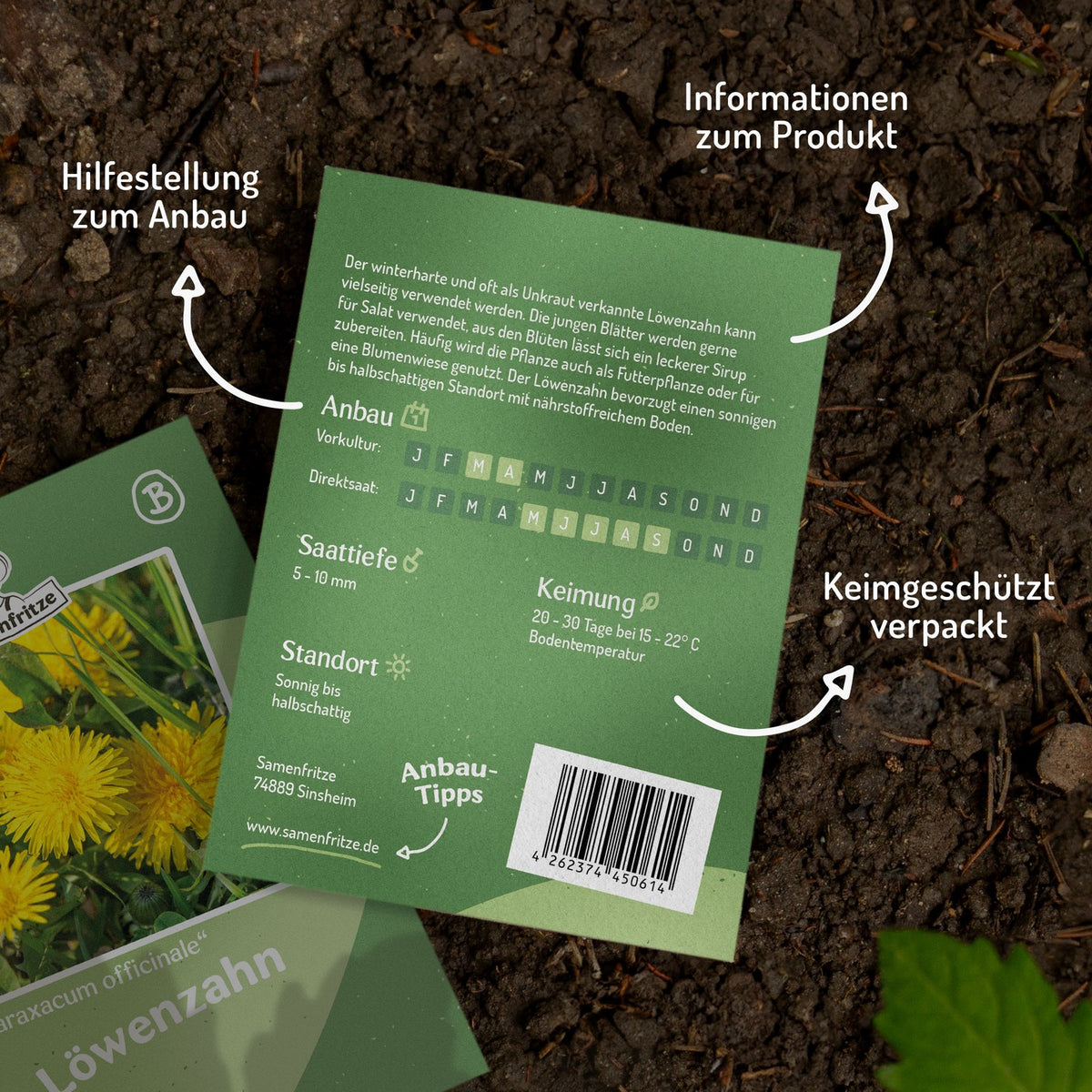 MHD 06/26 Löwenzahn Samen, Taraxacum officinale