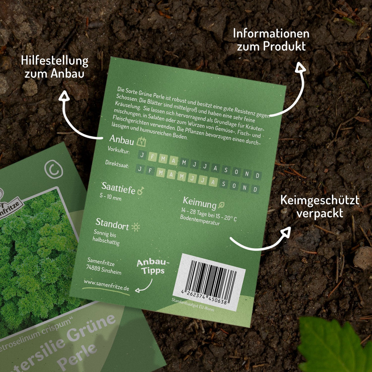 Gekräuselte Petersilie Grüne Perle Samen, Petroselinum crispum