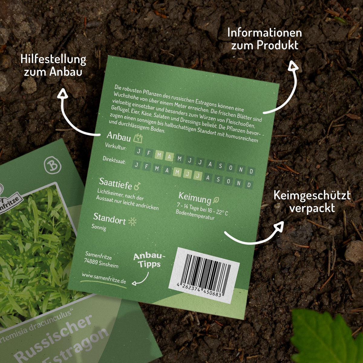 MHD 06/25 Russischer Estragon Samen, Artemisia dracunculus