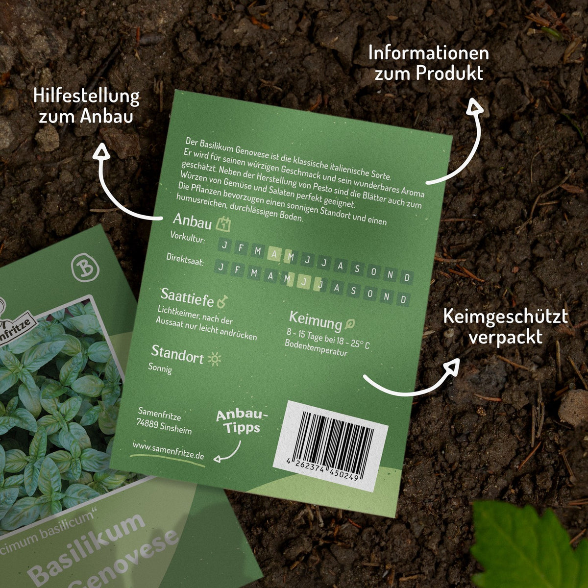 Basilikum Genovese Samen, Ocimum basilicum