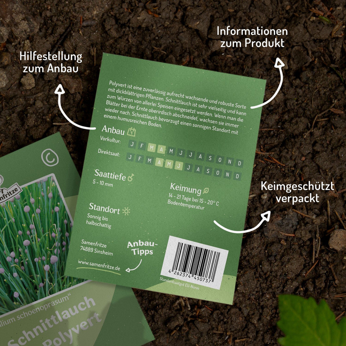 Schnittlauch Polyvert Samen