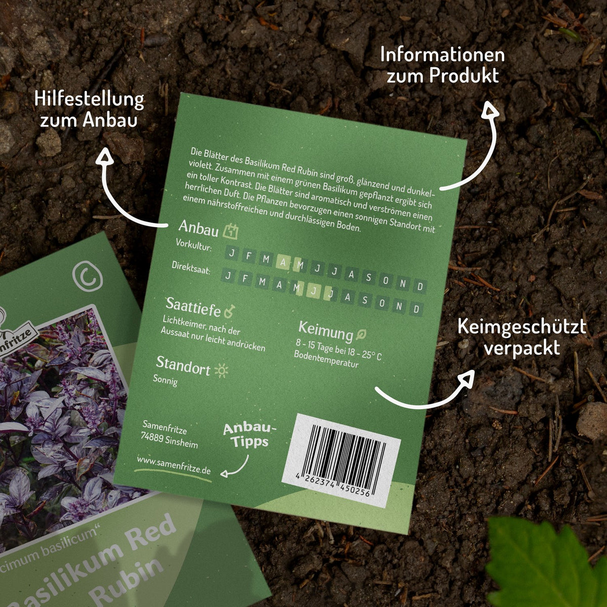 Basilikum Red Rubin Samen, Ocimum basilicum