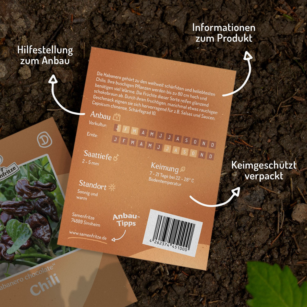 Chili Habanero Chocolate Samen