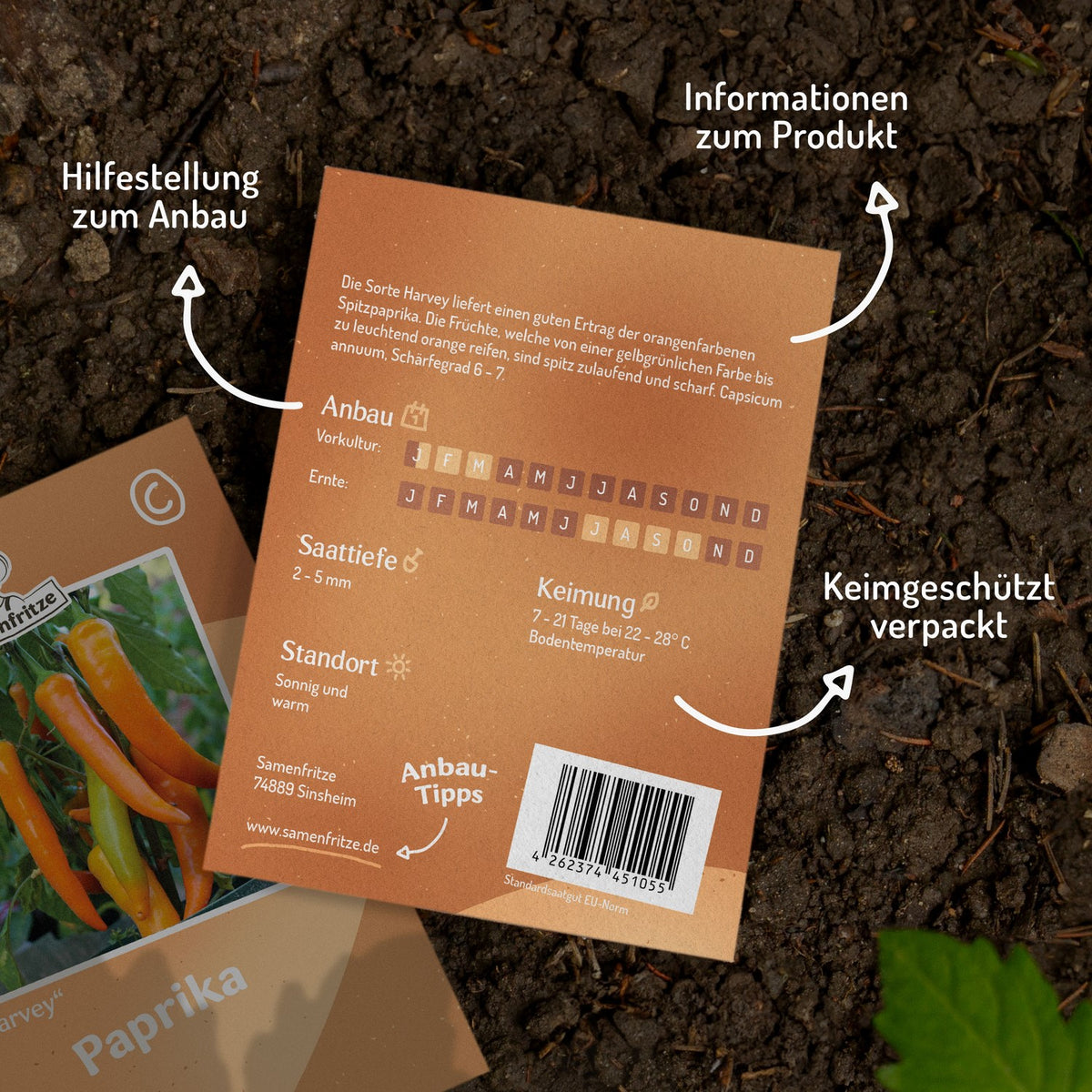 Paprika Harvey Samen