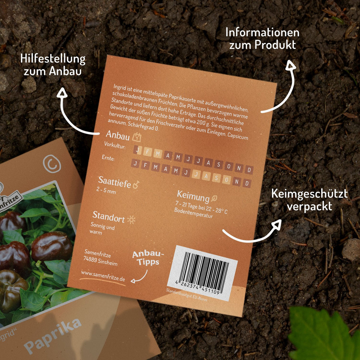 Paprika Ingrid Samen