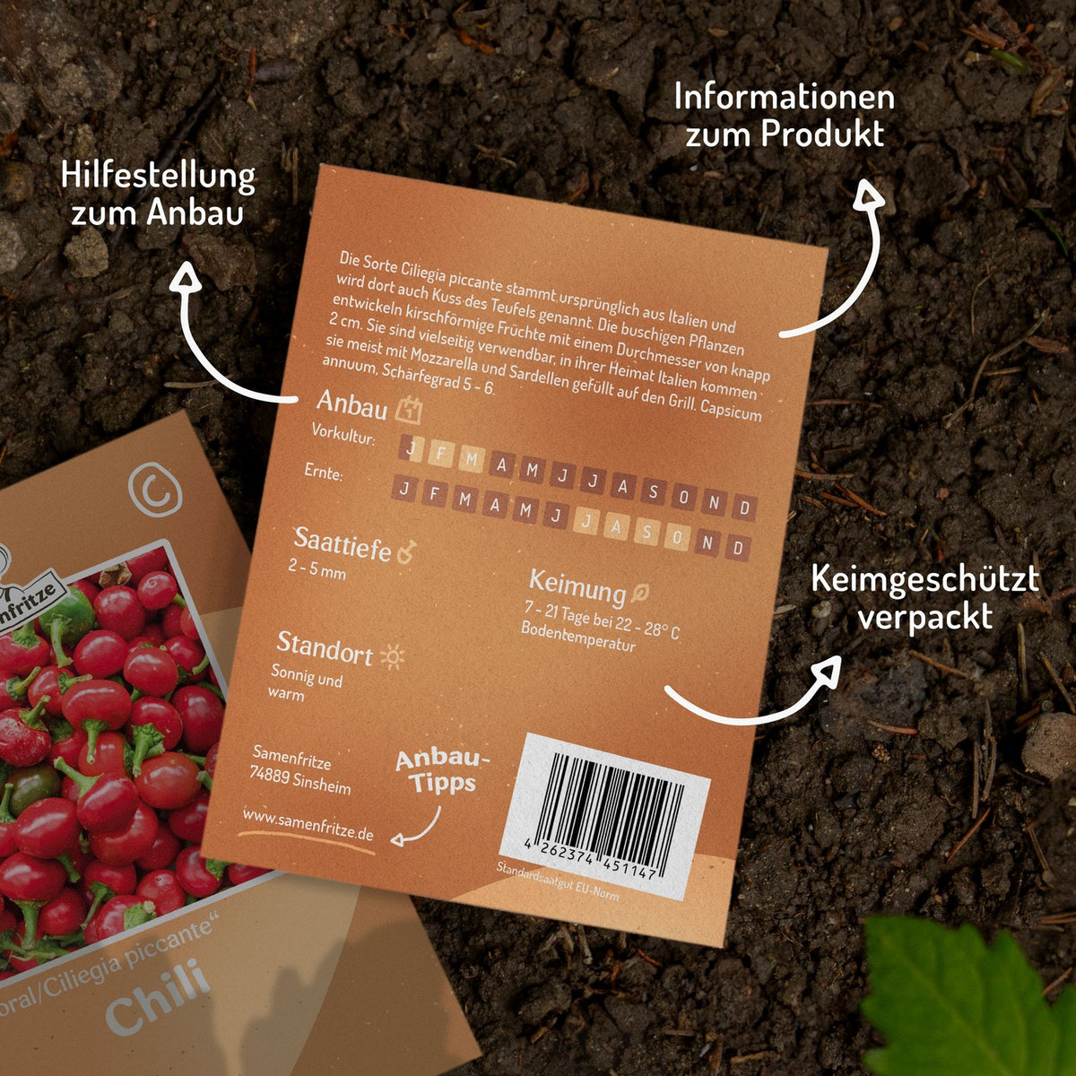 Chili Koral/Ciliegia piccante Samen