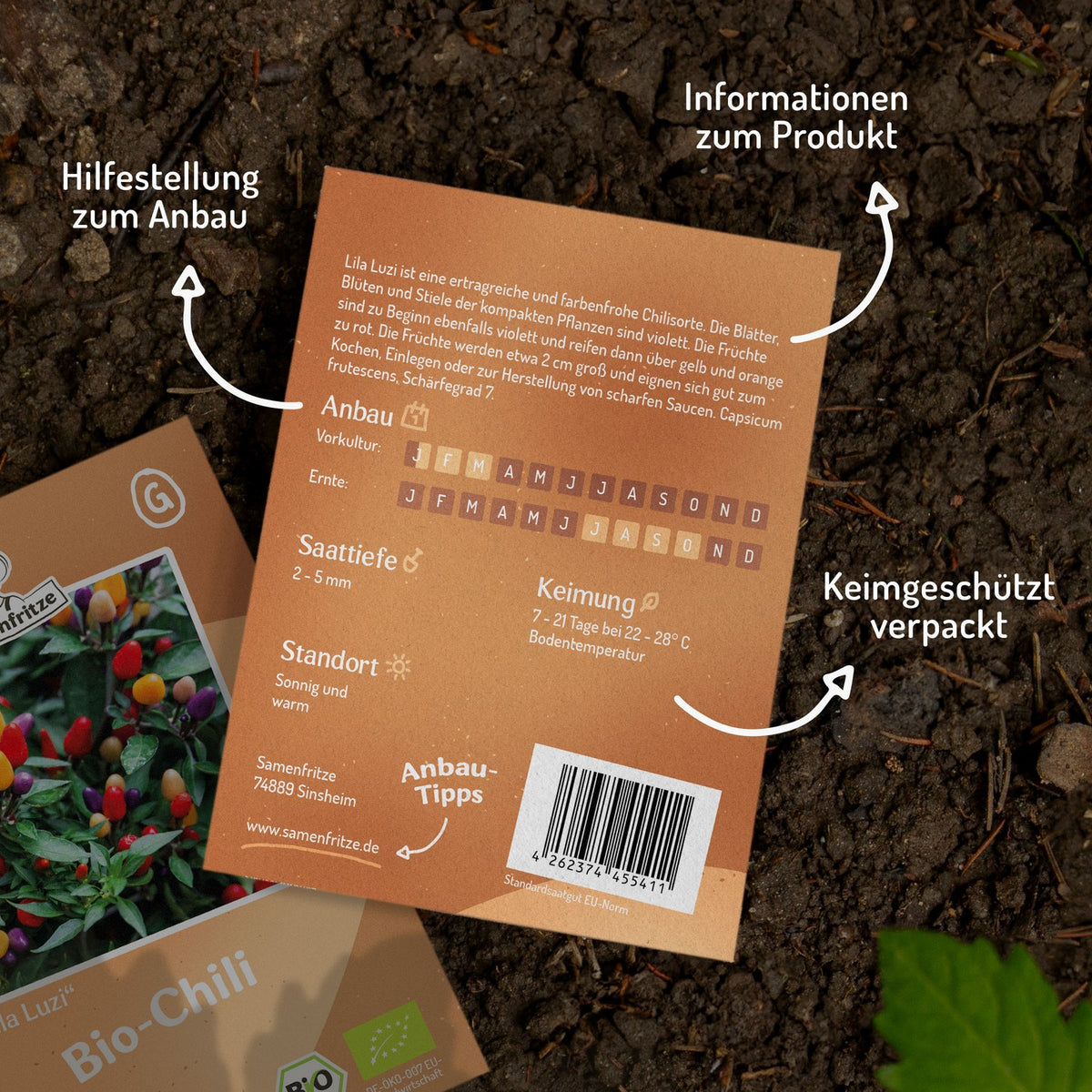 Bio-Chili Lila Luzi Samen