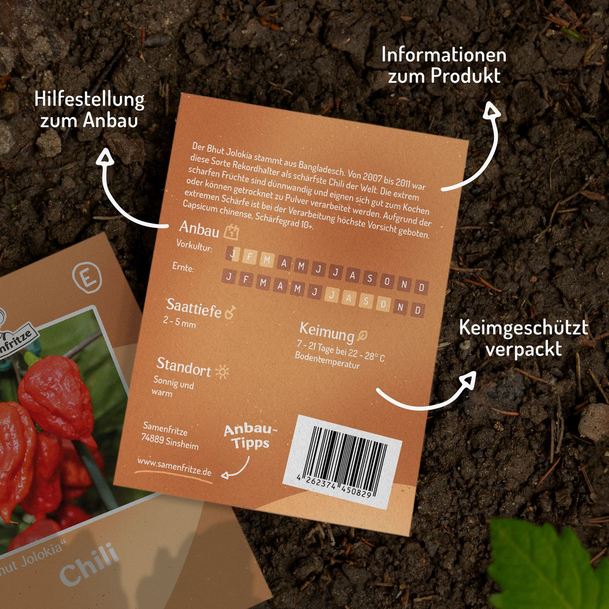 Chili Bhut Jolokia Samen