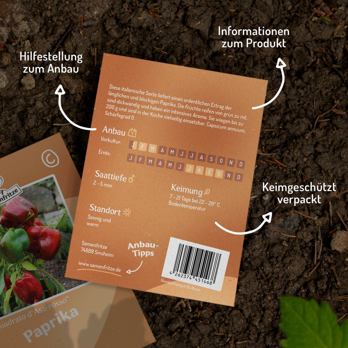 Paprika Quadrato d'Asti rosso Samen