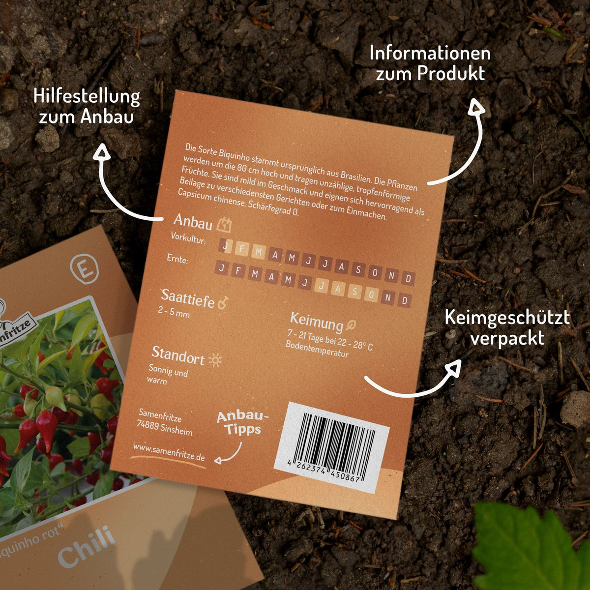 Chili Biquinho rot Samen