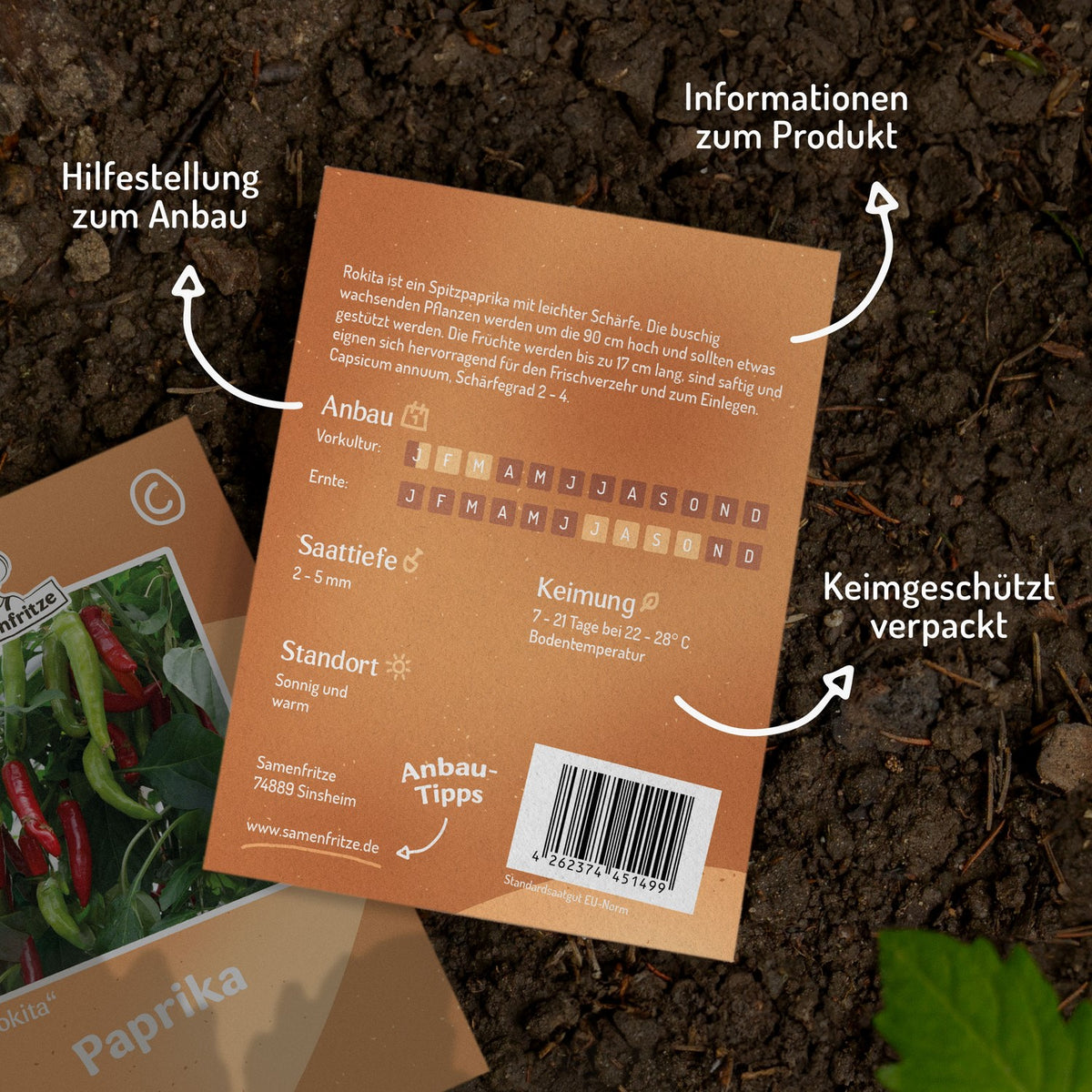 Paprika Rokita Samen