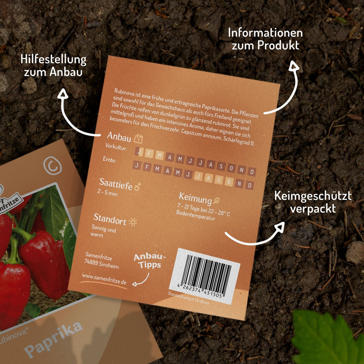 Paprika Rubinova Samen