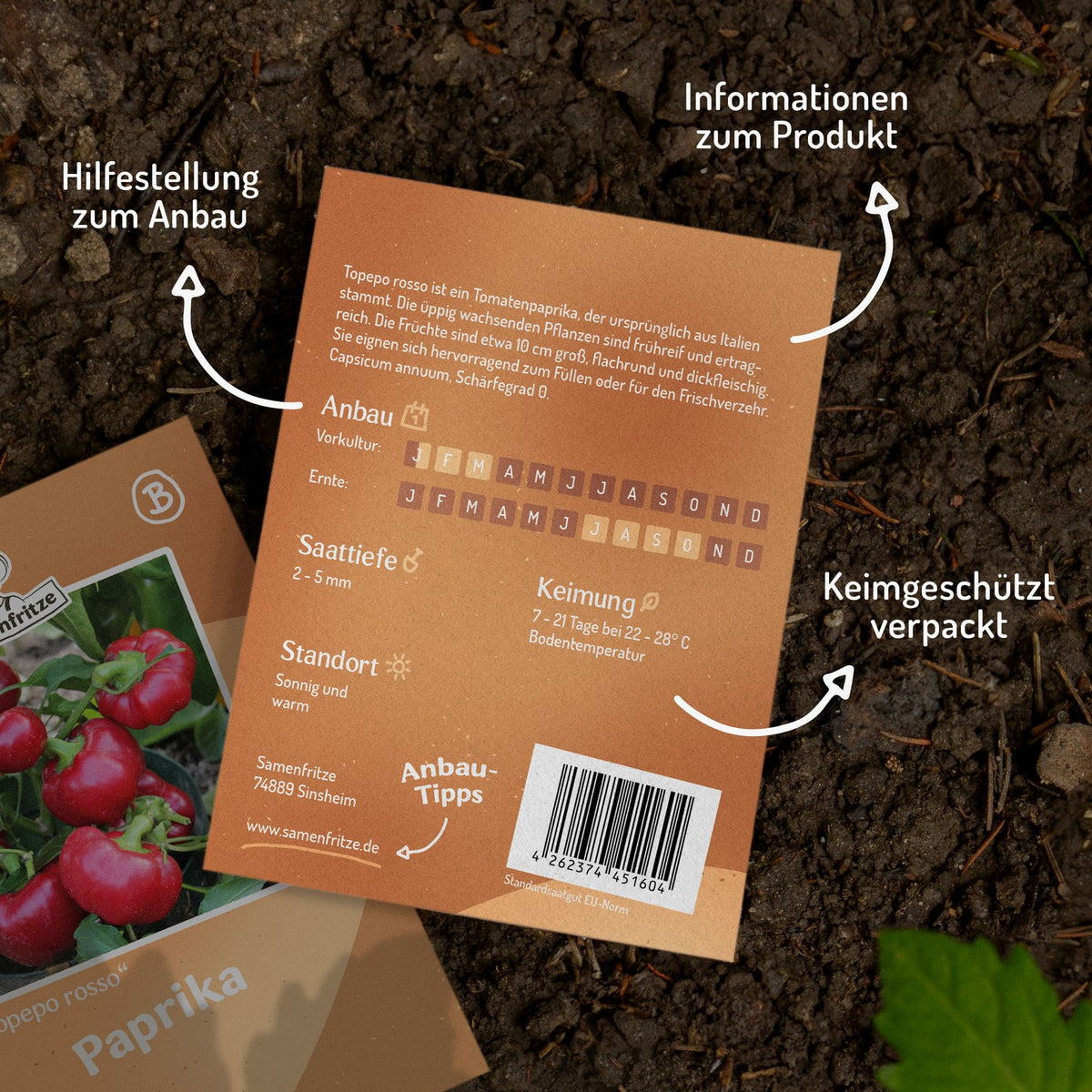 Paprika Topepo rosso Samen