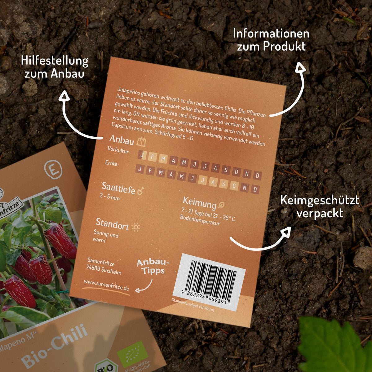 Bio-Chili Jalapeno M Samen