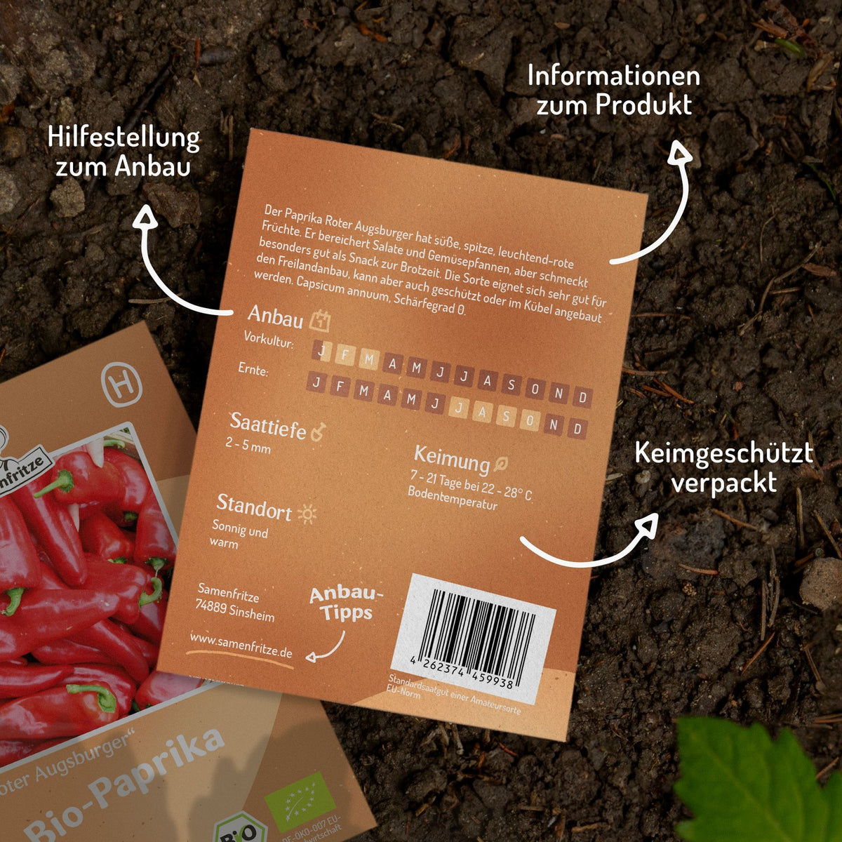 Bio-Paprika Roter Augsburger Samen