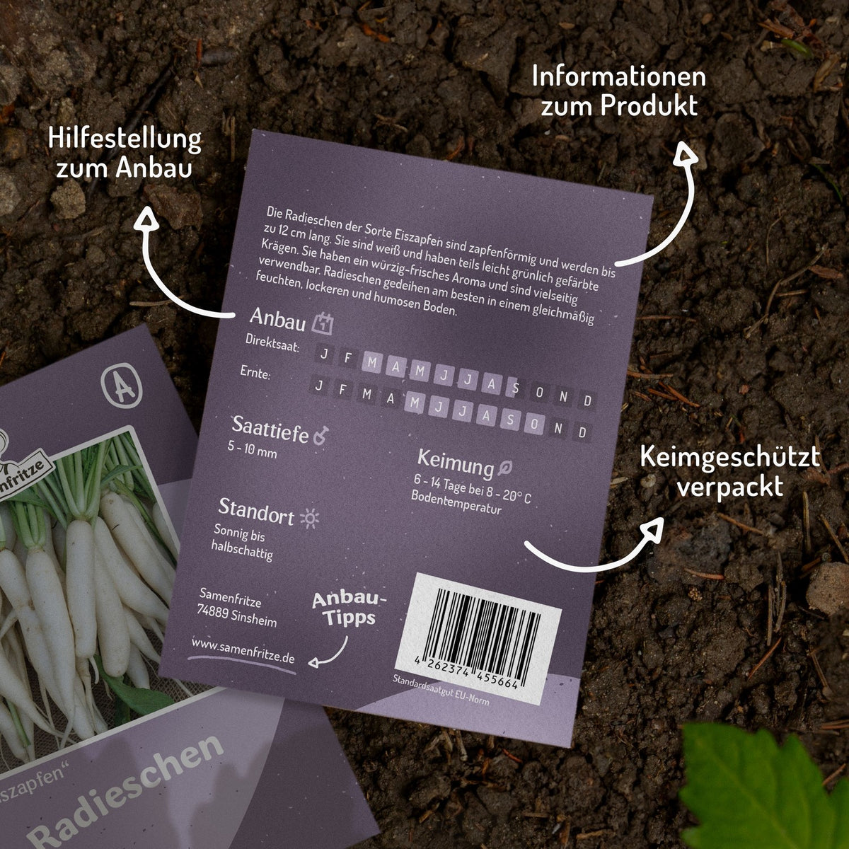 Radieschen Eiszapfen Samen