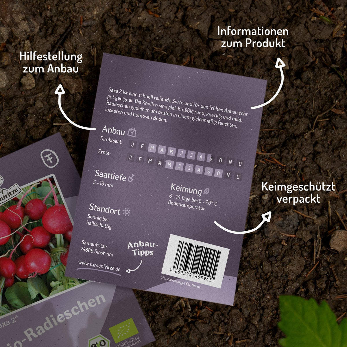 Bio-Radieschen Saxa 2 Samen