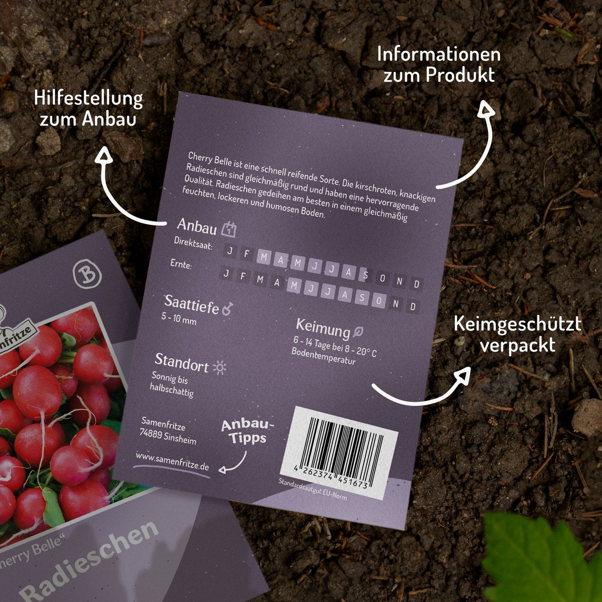 Radieschen Cherry Belle Samen