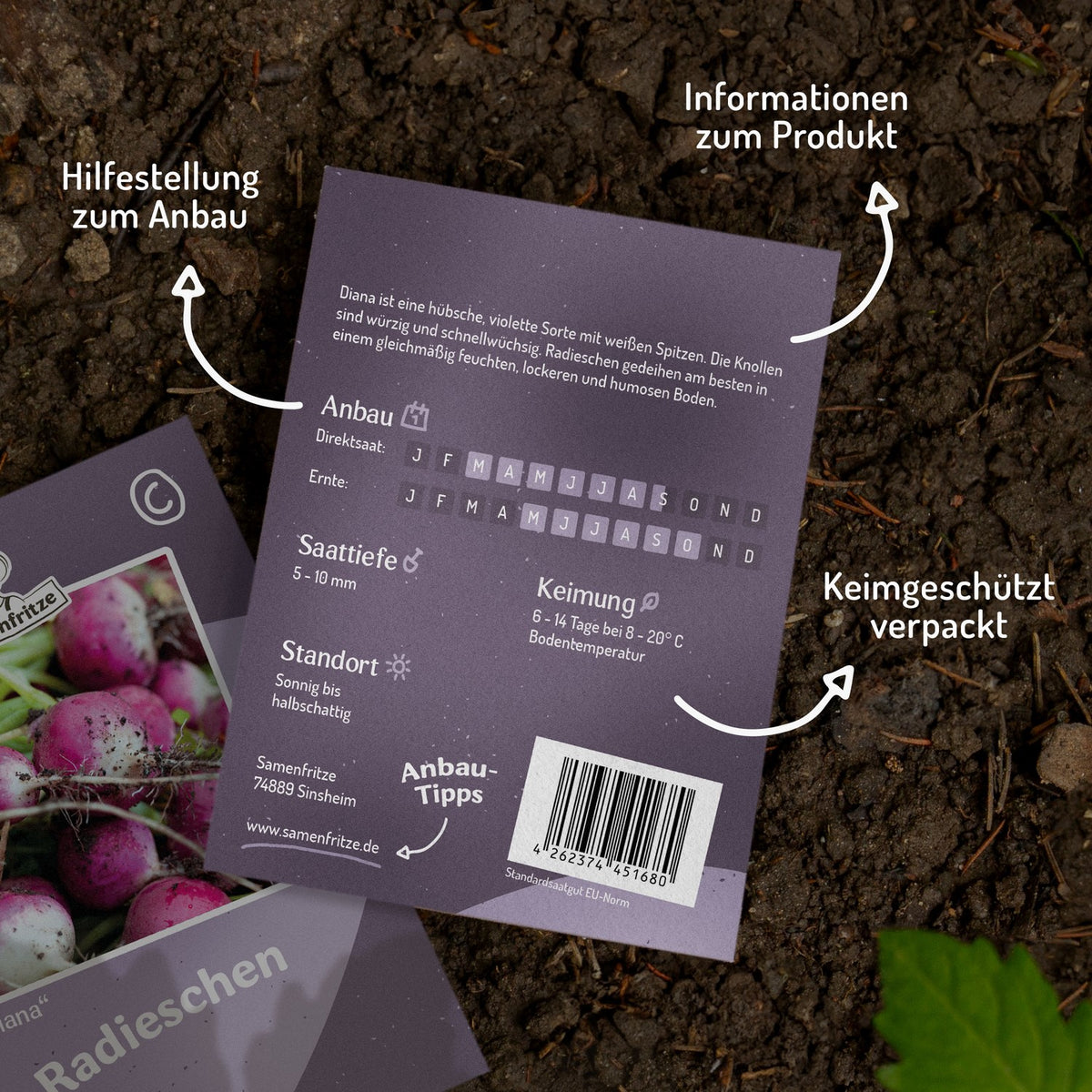 Radieschen Diana Samen