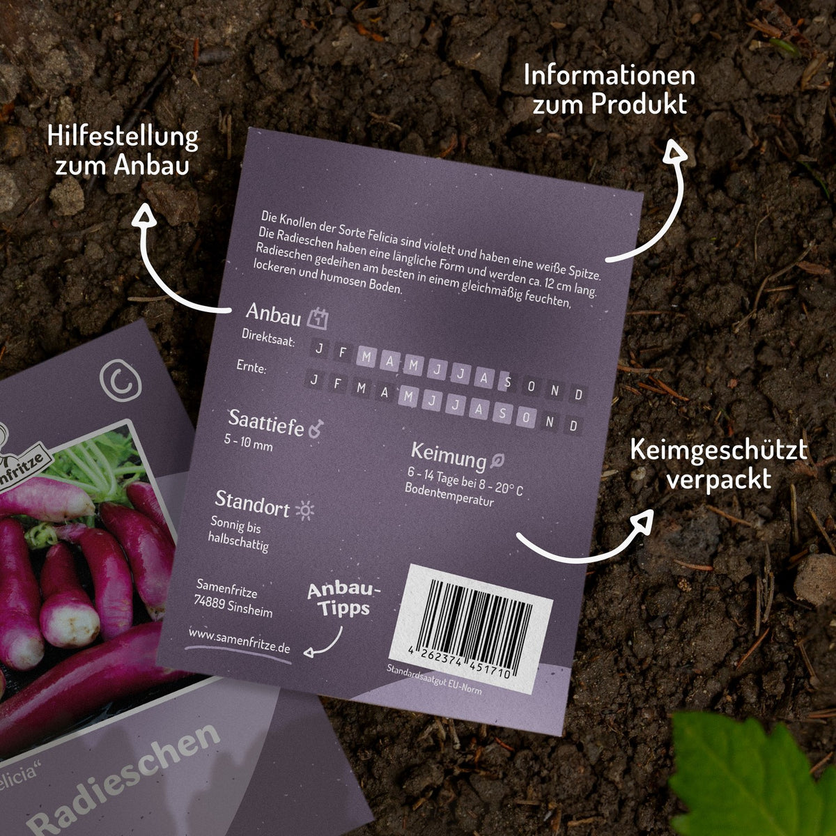 Radieschen Felicia Samen