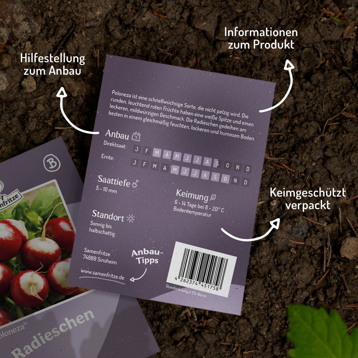 Radieschen Poloneza Samen