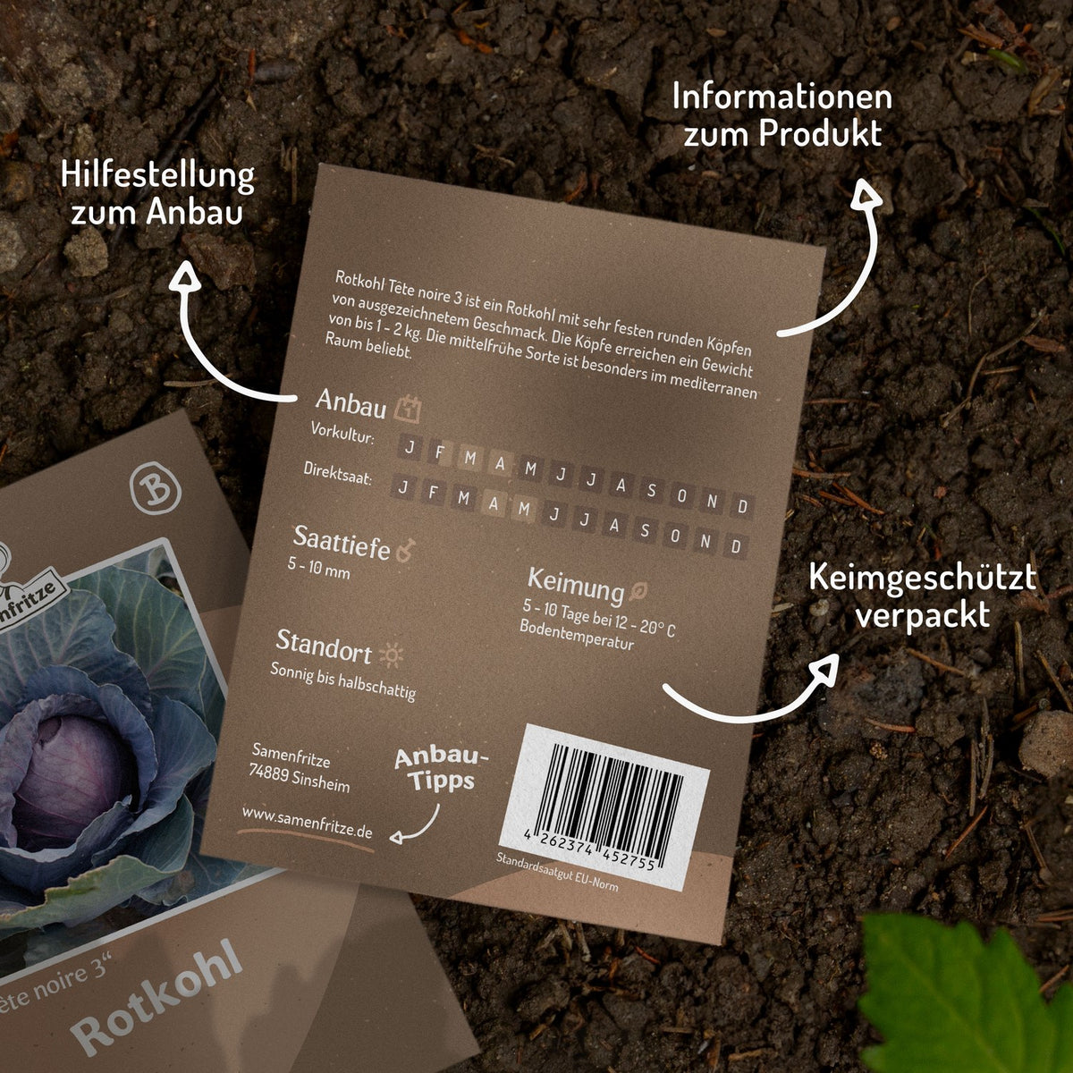Rotkohl Tête noire 3 Samen