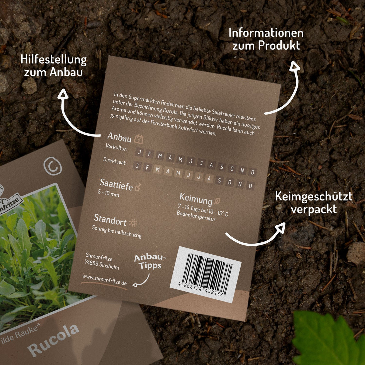 Rucola Wilde Rauke Samen