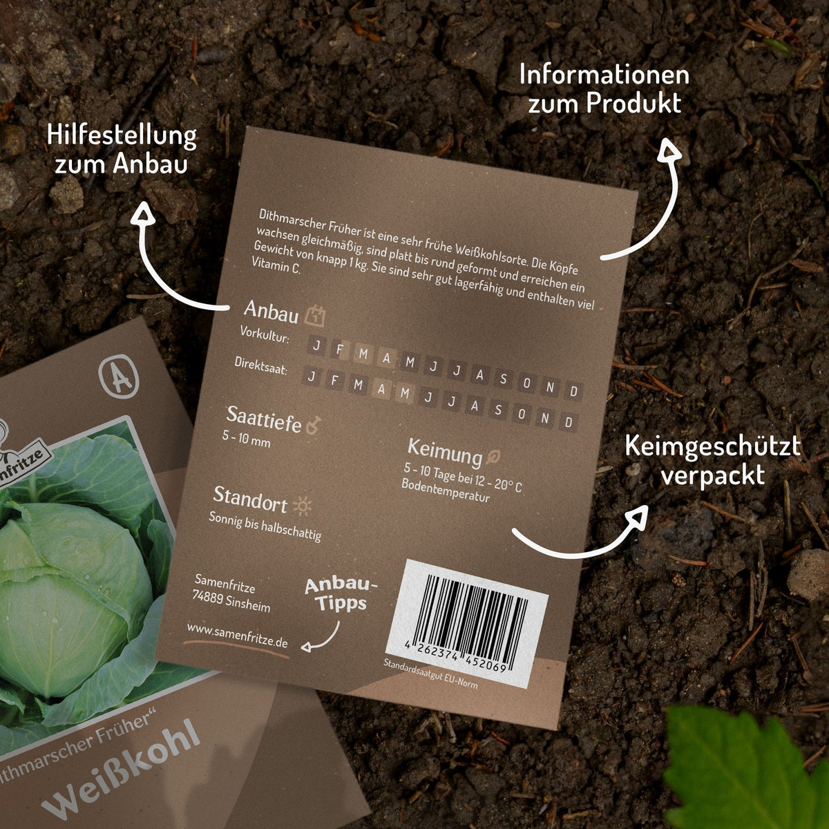 Weißkohl Dithmarscher Früher Samen