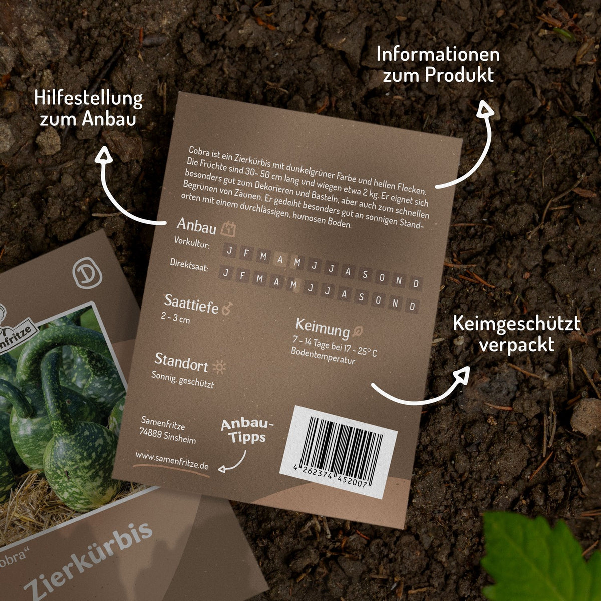 Zierkürbis Cobra Kalebasse Samen