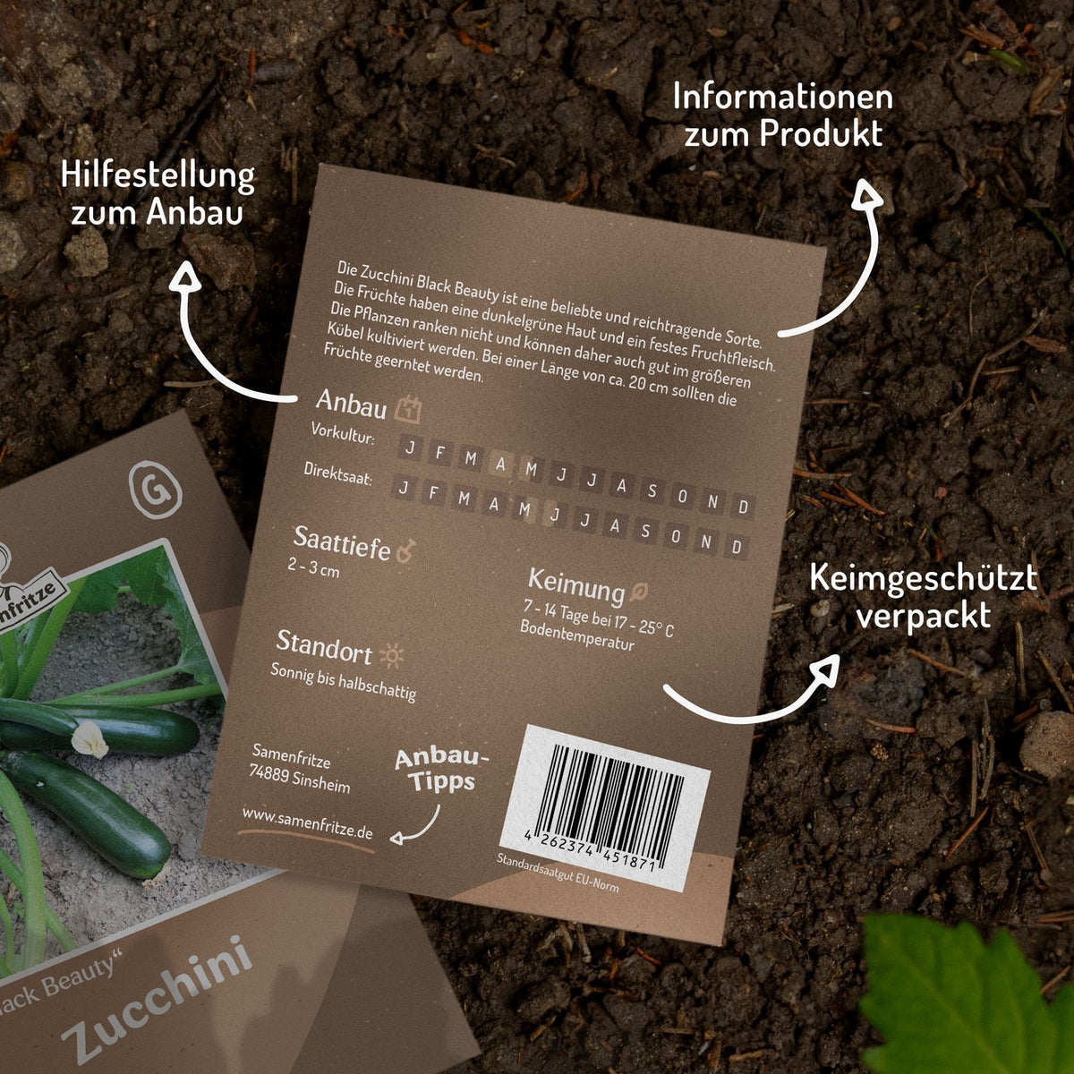 Zucchini Black Beauty Samen