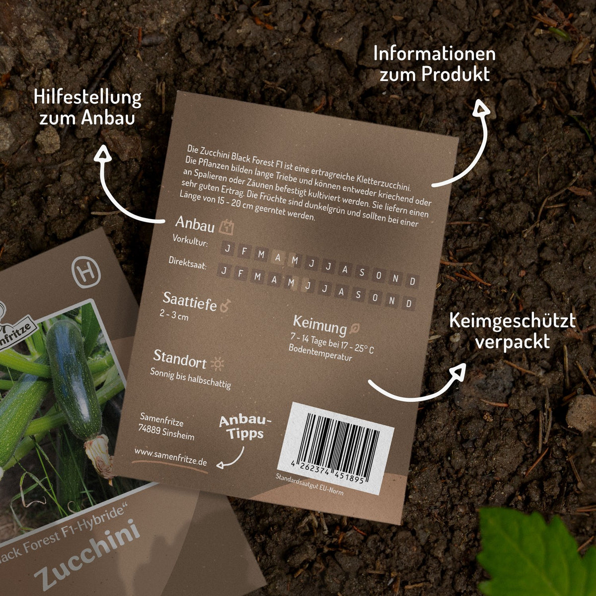 Zucchini Black Forest F1 Samen