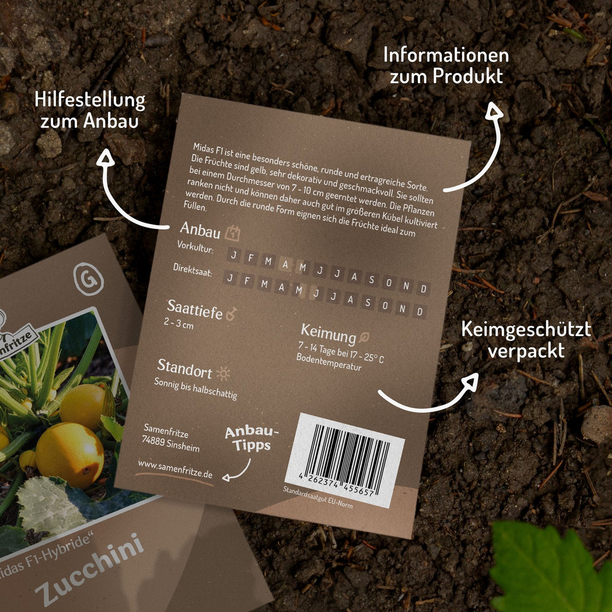 Zucchini Midas F1 Samen
