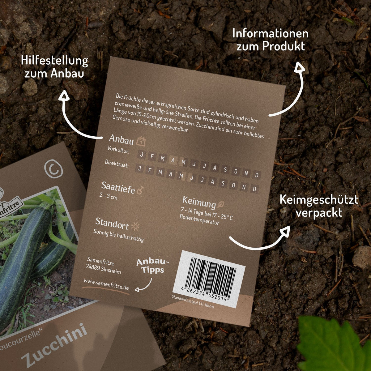 Zucchini Coucourzelle Samen