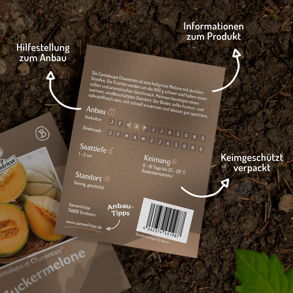 Zuckermelone Cantaloup Charentais Samen