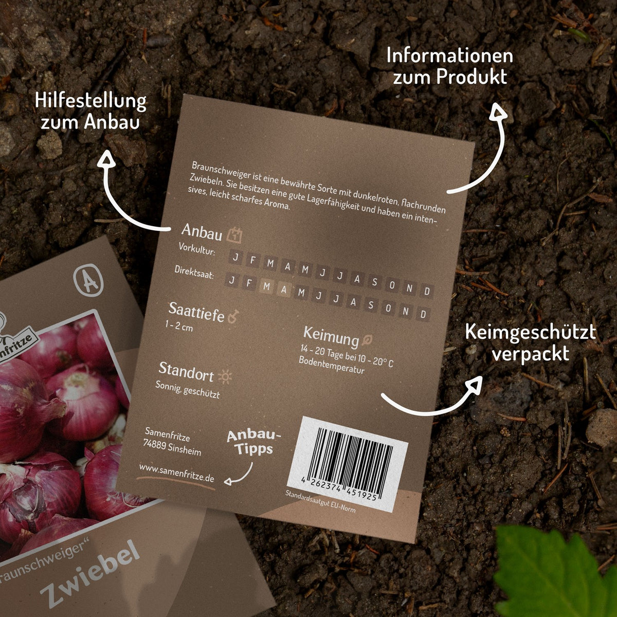 Zwiebel Braunschweiger Samen
