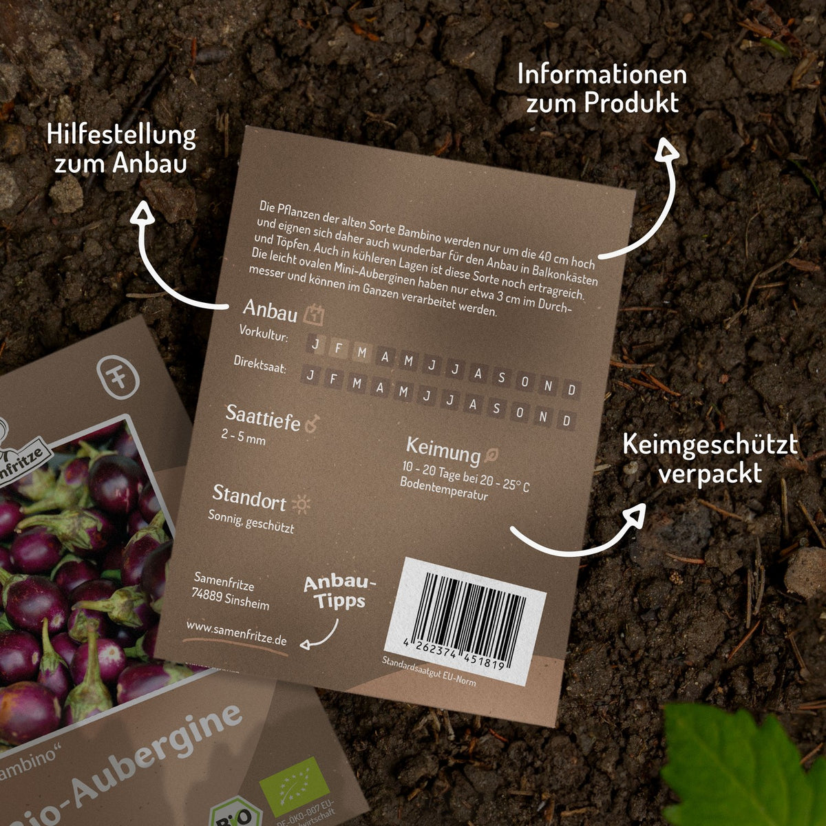 MHD 06/26 Bio-Aubergine Bambino Samen