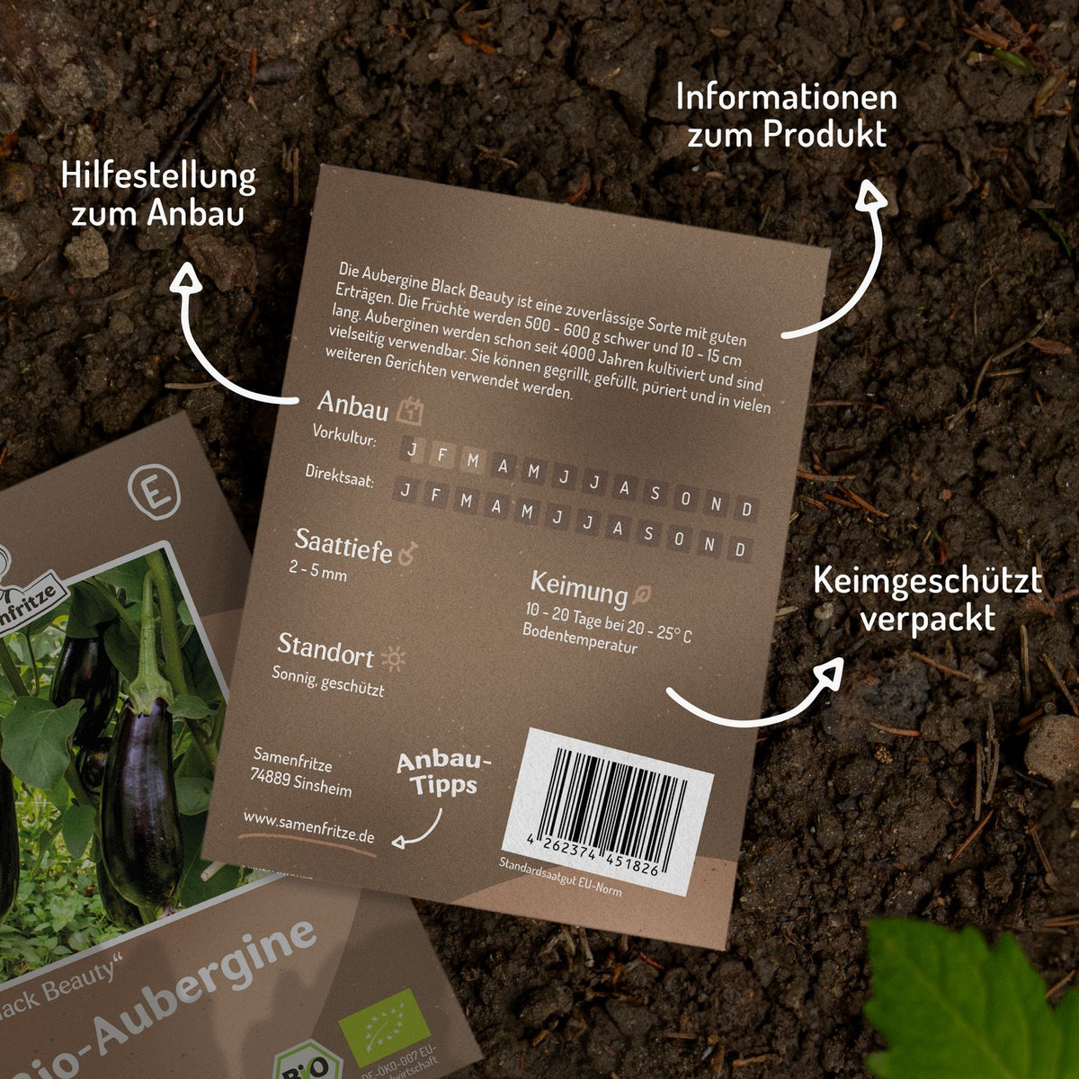 Bio-Aubergine Black Beauty Samen