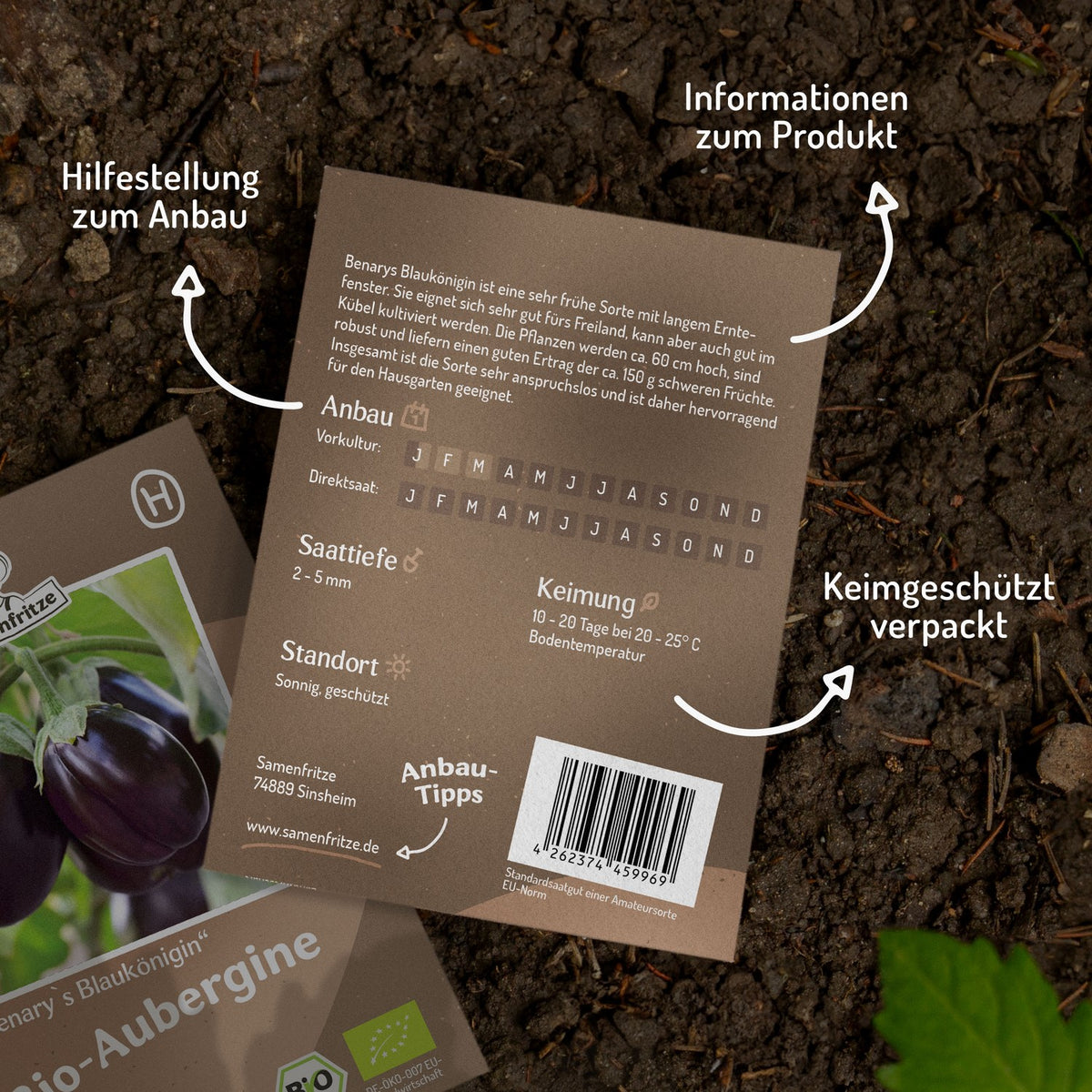 Bio-Aubergine Benarys Blaukönigin Samen