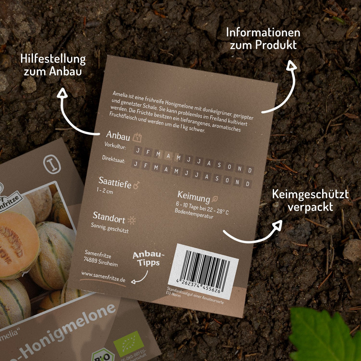 Bio-Honigmelone Amelia Samen