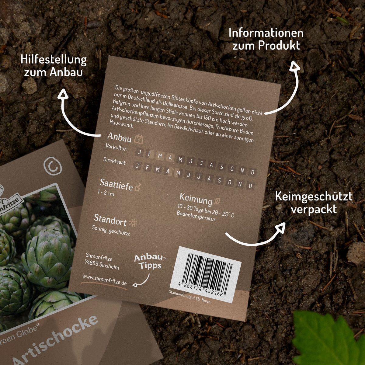 Artischocke Green Globe Samen