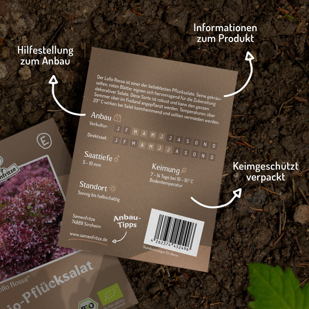 Bio-Pflücksalat Lollo Rossa Samen