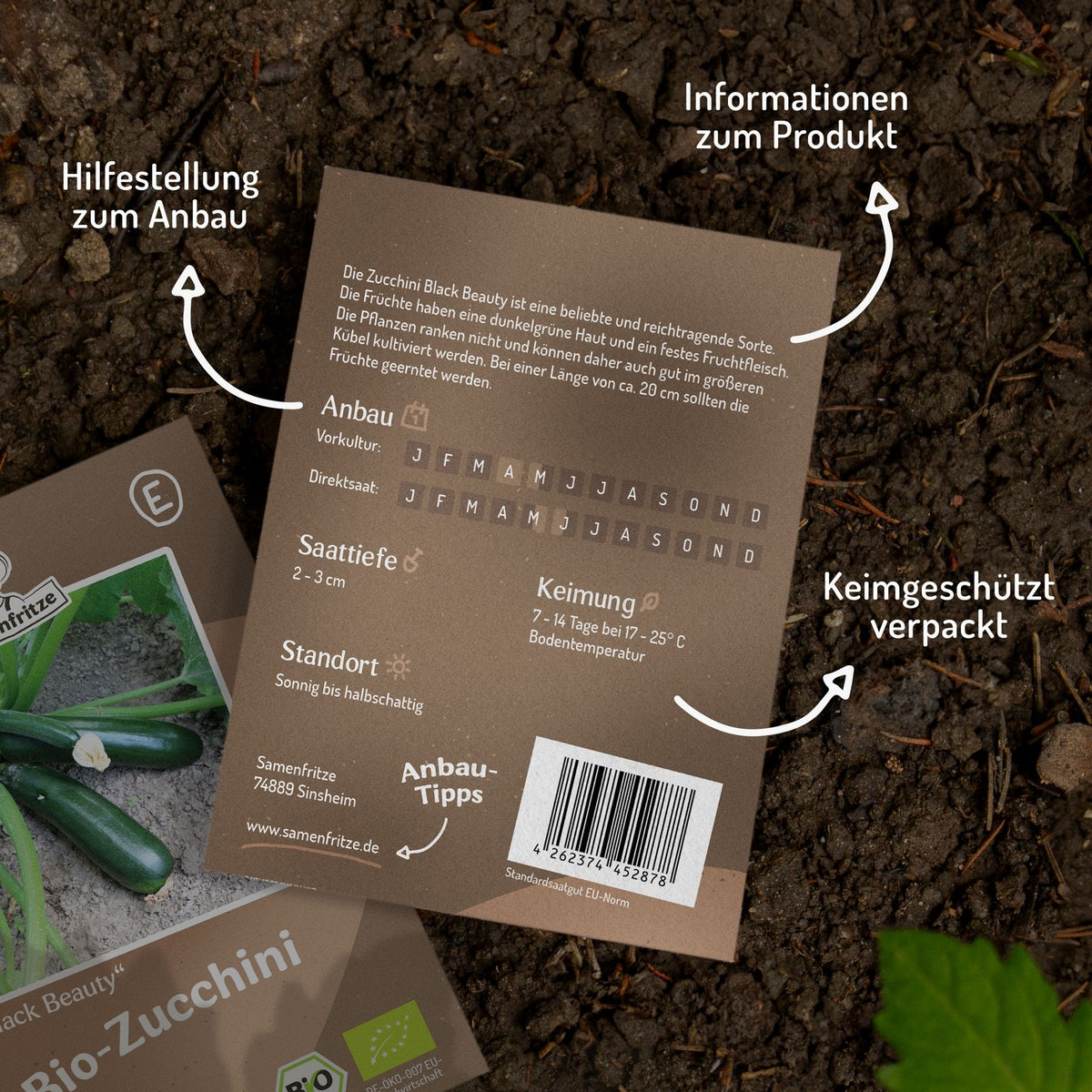 Bio-Zucchini Black Beauty Samen