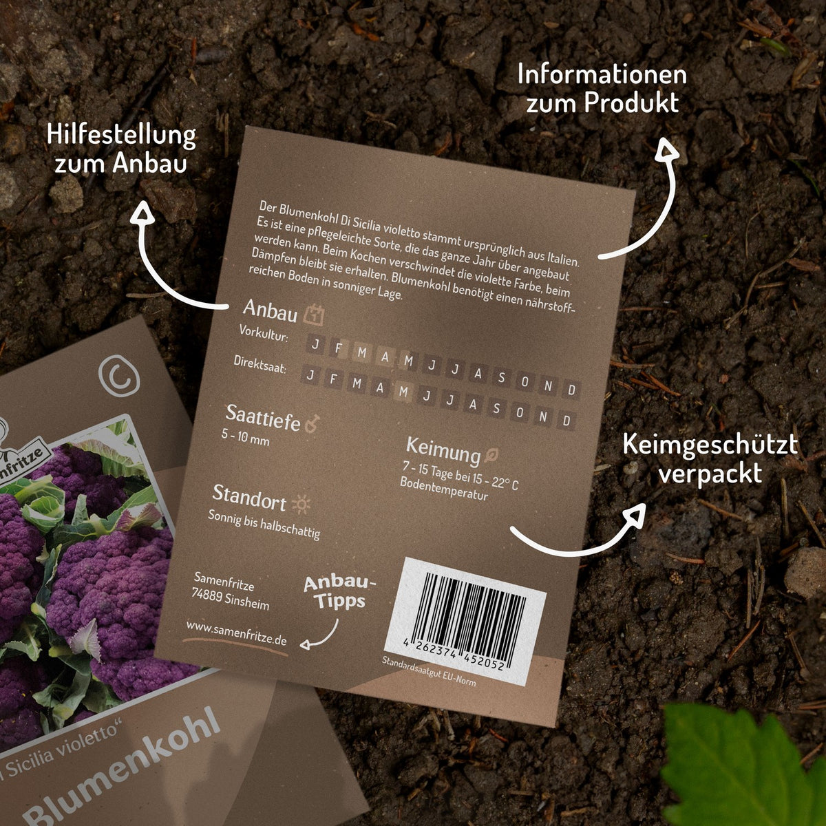 Blumenkohl Di Sicilia violetto Samen