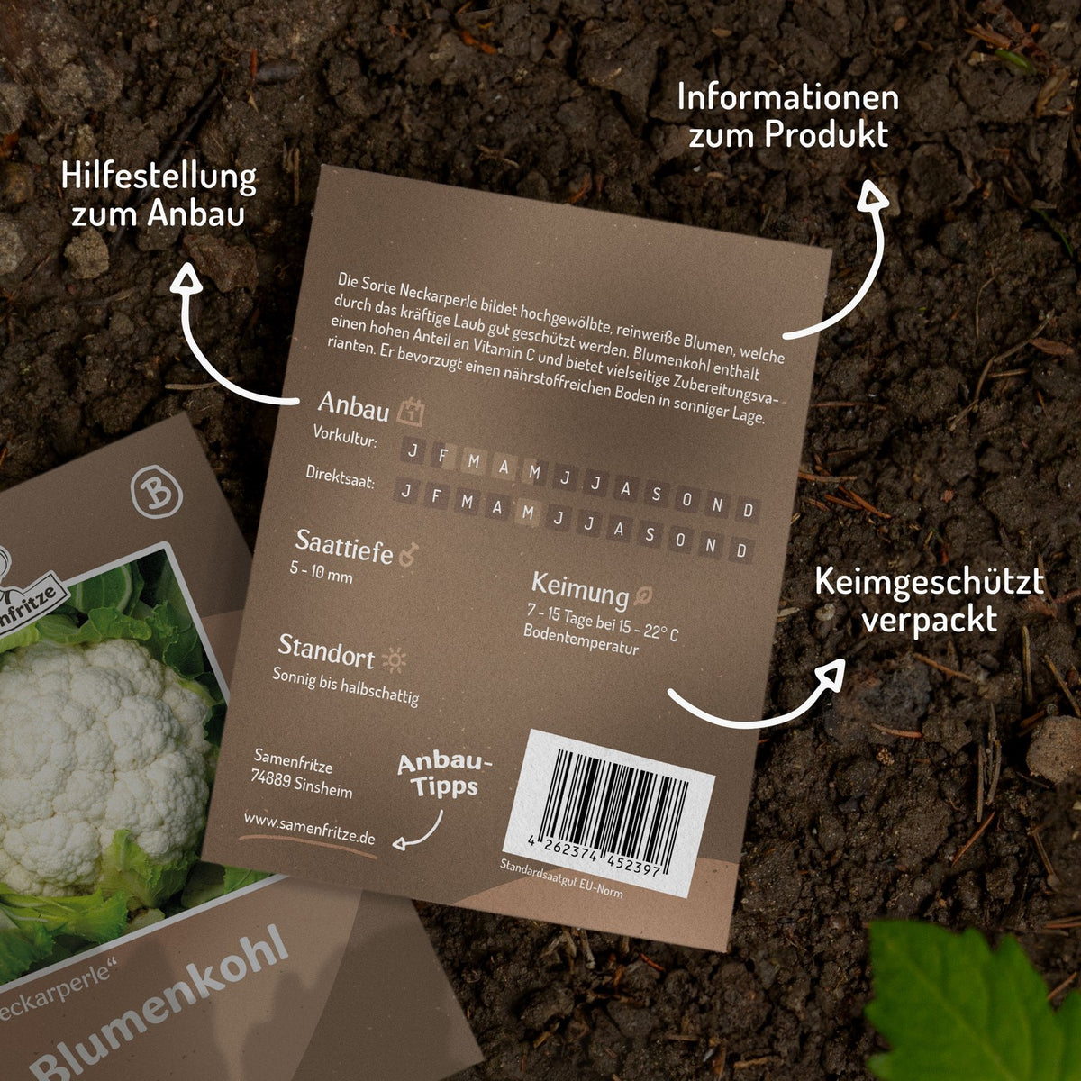 Blumenkohl Neckarperle Samen